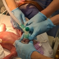 Mijn pasgeboren zoontje moest direct een operatie ondergaan om in leven te blijven