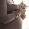 Ik ben 27 weken zwanger en heb die parasiet uit kattenpoep, toxoplasmose