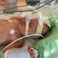 Pasgeboren Noan wordt onderkoeld binnen gebracht in het ziekenhuis